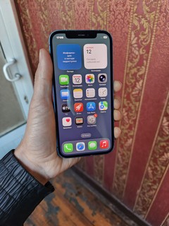 iPhone 12, 64GB, Ko‘k, iOS 26.2.1, Face ID, Ekran toza