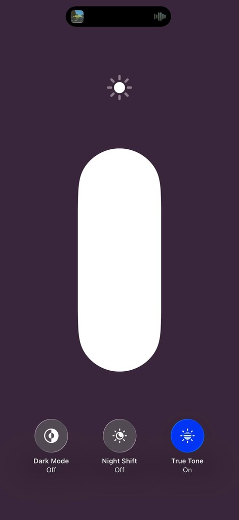 iPhone 15 Pro Max 256GB Silver image 2